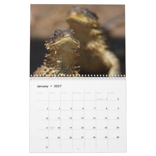 Dieren en Natuur Kalender (Jan 2027)