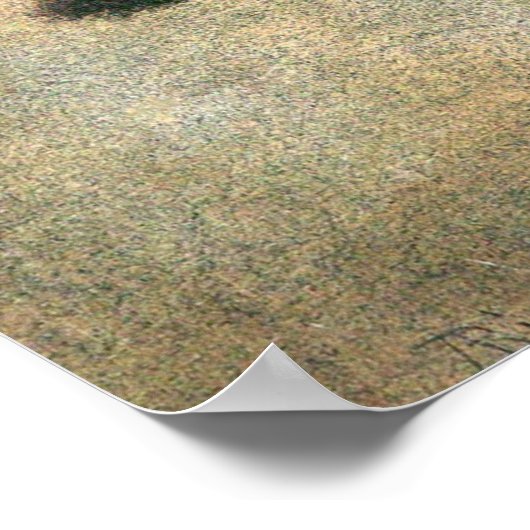  dieren, grizzly Beren van Albert Bierstadt Poster (Hoek)