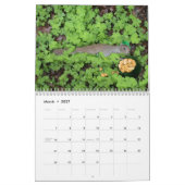 Dieren hebben plezier! "Kalender Kalender (Mar 2027)