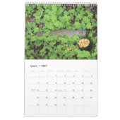 Dieren hebben plezier! "Kalender Kalender (Mar 2027)