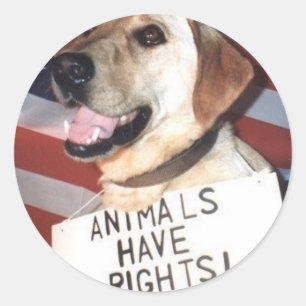 Dieren hebben rechten ronde sticker