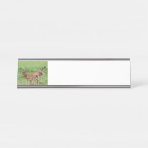 dieren, herten, wilde dieren, bos, weide, jacht, G Bureau Naambordje