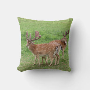 dieren, herten, wilde dieren, bos, weide, jacht, G Kussen