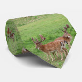 dieren, herten, wilde dieren, bos, weide, jacht, G Stropdas (Opgerold)