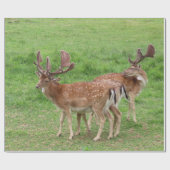 dieren, herten, wilde dieren, bossen, weide, jacht cadeaupapier (Vlak)