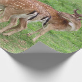 dieren, herten, wilde dieren, bossen, weide, jacht cadeaupapier (Hoek)