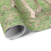 dieren, herten, wilde dieren, bossen, weide, jacht cadeaupapier (Rol Hoek)