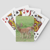 dieren, herten, wilde dieren, bossen, weide, jacht pokerkaarten (Achterkant)
