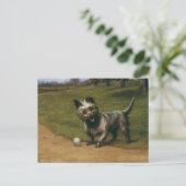  dieren Honden, Schotse terrier Puppy Briefkaart (Staand voorkant)