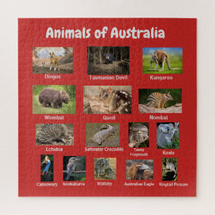 Dieren in Australië Legpuzzel