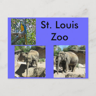 Dieren in de dierentuin briefkaart