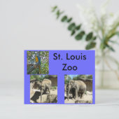 Dieren in de dierentuin briefkaart (Staand voorkant)