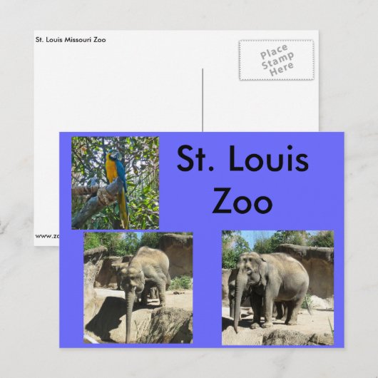 Dieren in de dierentuin briefkaart (Voorkant / Achterkant)