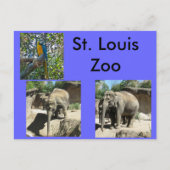 Dieren in de dierentuin briefkaart (Voorkant)