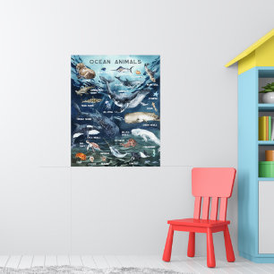 Dieren in de Oceaan   Onderwijs Leermateriaal Klas Poster