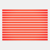 DIEREN IN DE SLUITING VAN DE SET VAN DE SET VAN Sa Inpakpapier Vel (Voorkant 2)