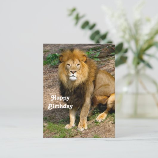 Dieren in het wild Afrikaanse Leeuw Zittend Foto V Briefkaart (Staand voorkant)