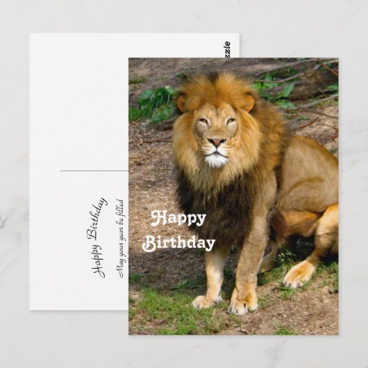 Dieren in het wild Afrikaanse Leeuw Zittend Foto V Briefkaart (Voorkant / Achterkant)