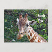 Dieren in het wild Giraffe Foto Bedankt Briefkaart (Voorkant)