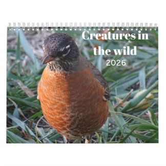Dieren in het wild & Insecten Kalender