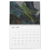 Dieren in het wild & Insecten Kalender (Mar 2027)