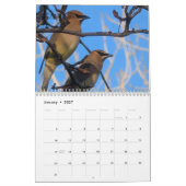 Dieren in het wild & Insecten Kalender (Jan 2027)