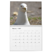 Dieren in het wild & Insecten Kalender (Feb 2027)