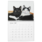 Dieren in liefde | Agenda 2015 Kalender (Jan 2027)