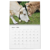 Dieren in liefde | Agenda 2015 Kalender (Mar 2026)