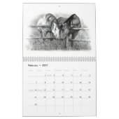 DIEREN IN PENCIL: REALISME DRAAWINGS CALENDAR KALENDER (Feb 2027)