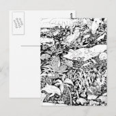 Dieren in vrede briefkaart (Voorkant / Achterkant)