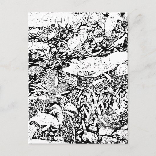 Dieren in vrede briefkaart (Voorkant)