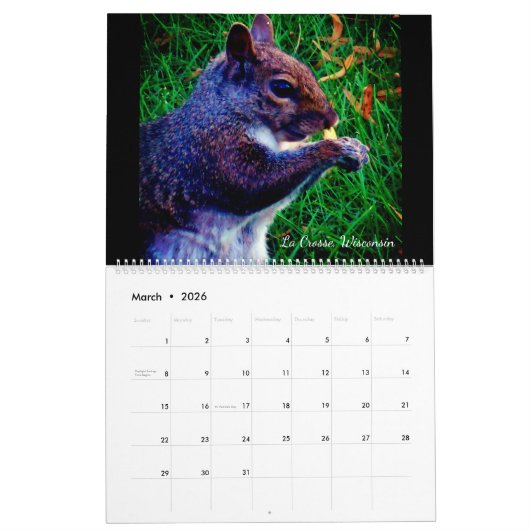 Dieren Kalender (Mar 2026)