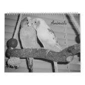 Dieren Kalender (Hoes)