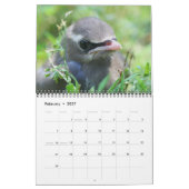 Dieren Kalender (Feb 2027)