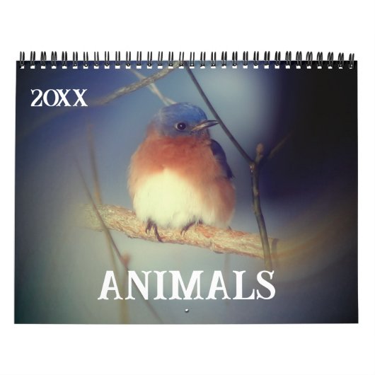 Dieren Kalender (Hoes)