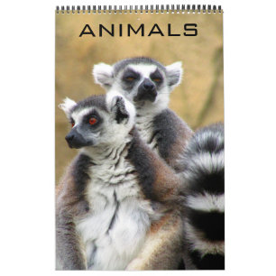 dieren kalender