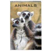 dieren kalender (Hoes)