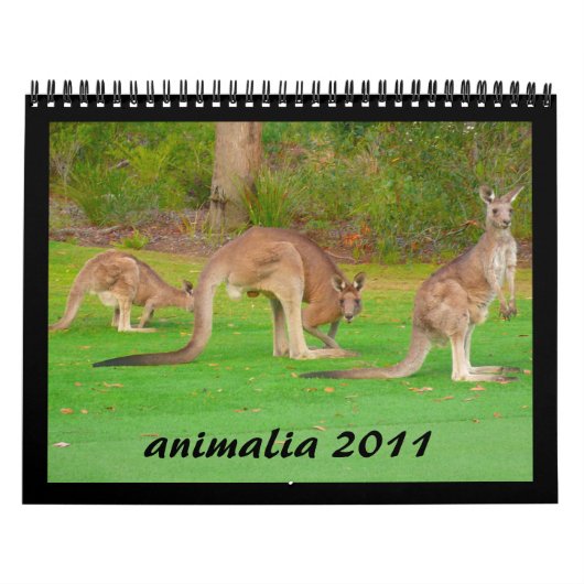 dieren kalender 2011 (Hoes)