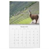 dieren kalender 2011 (Jan 2026)
