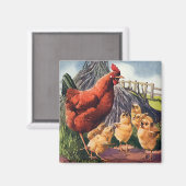 dieren, kippen met Baby op Boerderij Magneet (Voorkant / Achterkant)