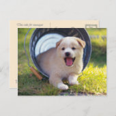 Dieren, Leuk "puppy" Briefkaart (Voorkant / Achterkant)