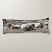 Dieren Lichaamskussen (Achterkant)