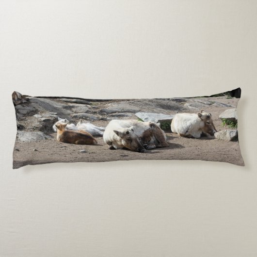 Dieren Lichaamskussen (Achterkant)