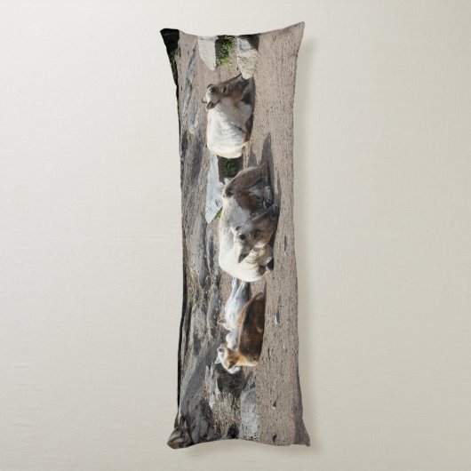 Dieren Lichaamskussen (Achterkant (Verticaal))