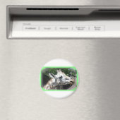 Dieren Magneet (Insitu (Vaatwasser))