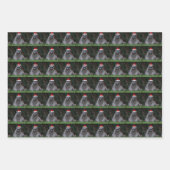 Dieren met rode kerstmutsen op vakantie inpakpapier vel (Voorkant)