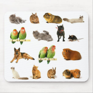 dieren muismat