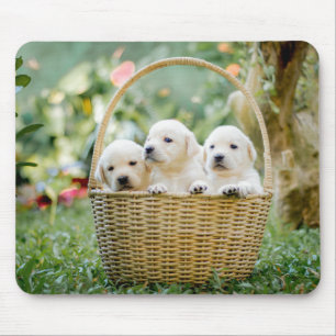 Dieren, natuur, puppy muismat