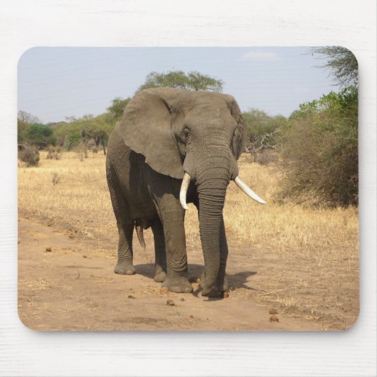 Dieren, olifanten, natuur muismat (Voorkant)